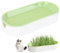 Blogiiup Grass Planter,Tray Plastic Catnip Cat Grass Box Soil Free Cat Plant Planting Box Nursery Cat Plant for Cat, Dogs and Other Pets(No Grass)