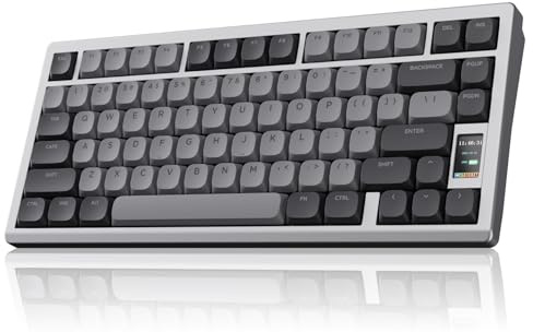 Chilkey ND75 LP Mechanische Tastatur aus Aluminium, 75 % kabellose Gaming-Tastatur mit Bildschirm, Tri-Modus, schnelle Demontage, RGB-Tastatur mit Hintergrundbeleuchtung für Laptop, Büro, PC (Silber)