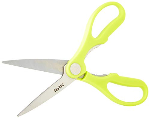 ibili 704904 Küchenschere Clasica, Edelstahl, silber / grün, 22 x 6 x 2 cm