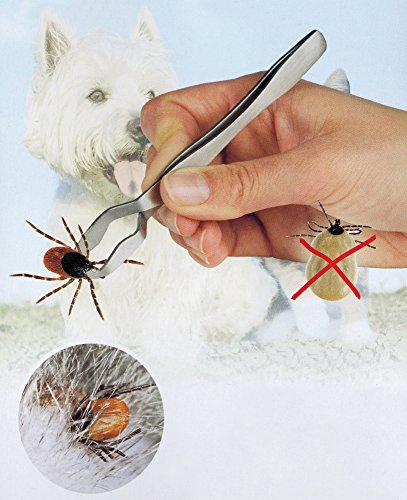 ZECKENGREIFER 13cm Edelstahl Pinzette Zeckenzange Zeckenpinzette Zeckenentfernung Zecken Zange Hunde Katze Mensch 07