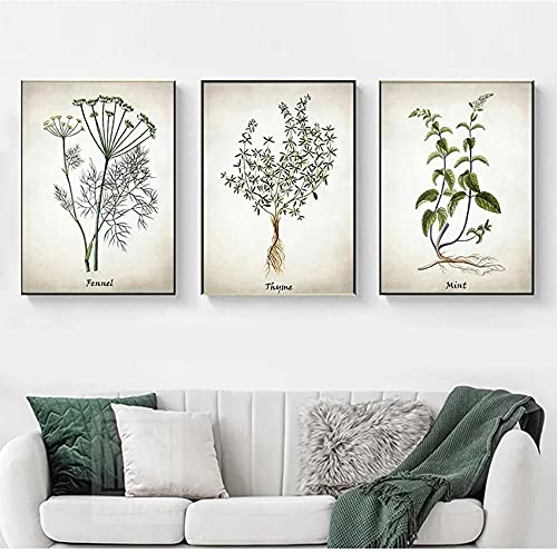 Kräuter Botanische Küche Wandkunst Bild Dekor Leinwand Malerei Vintage Illustrationen Poster und Drucke Kulinarisch Ungerahmt - 40X50cmX3