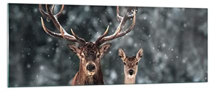 ARTTOR Glasbild 140x50cm Wandbild Glasdruck Tiere - 5060 | Reh Ren Rogen Panorama Groß XXL Modern Dekoration Wohnzimmer Schlafzimmer Küche Wanddeko Kunstdruck Art Wall Decor ARTTOR
