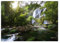 Displate - Poster aus Metall - Magnet-Montage - World Class Photos - Landscapes - Mountain stream 45 cm x 32 cm