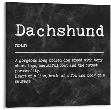 Kunstdruck auf Leinwand, Motiv Dackel-Definition, Wörterbuch, Wortbedeutung, 40,6 x 40,6 cm, gedruckte Bilder, Kunstwerk, Poster, Gemälde, Dekoration für Wohnzimmer, Schlafzimmer, Büro, Kaffee, Club,