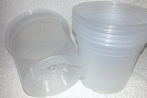 Teku Pack of 6 x Orchid pot 15cm