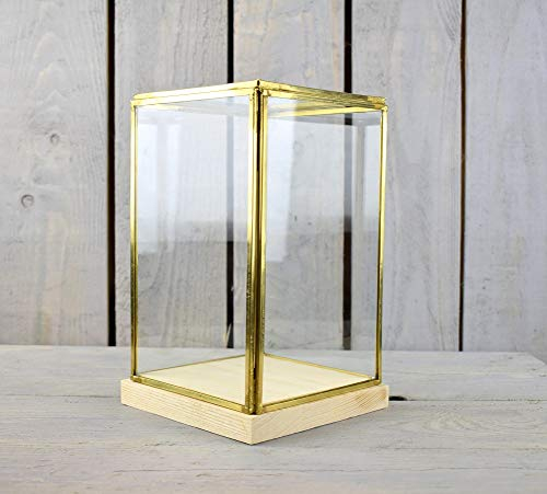 EMH Vitrine en Verre et Laiton avec Base en Bois Hauteur 23,5 cm