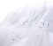SYSUII 160cm * 3m Chiffon Glitzer Tüll Dekostoff mit kleine Pailletten Dekostoff Kostümstoff zum Nähen Durchsichtig Stoff Tüll Pailletten-Stoff für DIY Hochzeit Kleid Dekoration Tischedeko-Weiß