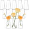 Hewory Petit Vase Transparent Verre: 12 Vase Decoratif Petit Vase Deco Table pour Decoration Mariage - Moderne Vase Fleur Fiole en Verre pour Centre de Table Anniversaire Maison Home Salon