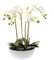 artplants.de Orchidea phalaenopsis Artificiale Mina in Vaso di Ceramica, Bianco, 60cm - Orchidea di plastica/Fiori Finti