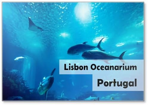 Kühlschrankmagnet, Motiv: Bunte Fische im Inneren des berühmten Ozeanariums von Lissabon, Design 1