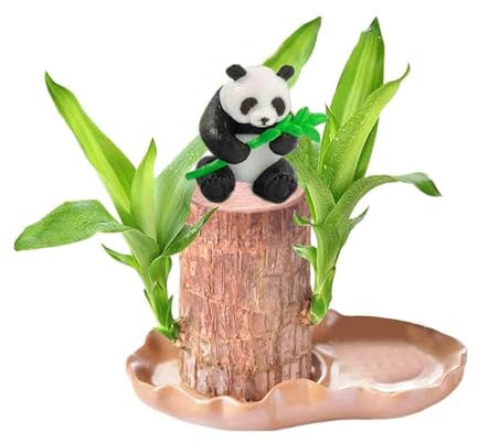 Feelcrag Glücksholz Aus Brasilien,Wood Stump Glücksholz Kleine Mini Pflanze Pflegeleicht Brasilianisches Holz Mini Plant Glücksbambus Office Desk With Nutrient Solution And Figure