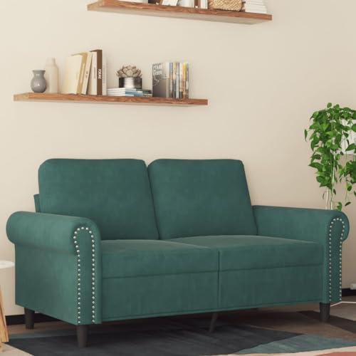 WEMYUFURN Modernes 2-Sitzer-Sofa aus weichem Samtstoff mit Metallgestell, bequemem Polster und hoher Stabilität für Wohnzimmer
