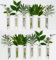 TWILG - Reagenzgläser für Blumen mit weißem Leder und Wandmagnet - 12er Set - Blumenvase, Magnet vase, Reagenzgläser mit Ständer, Reagenzglas vase Wand, Magnetische vase
