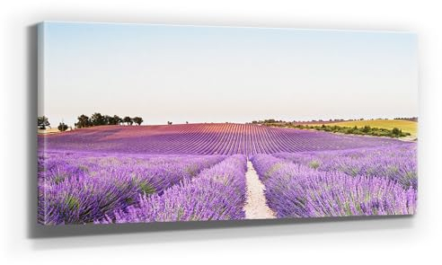 Traumhaftes Lavendel Leinwand-Bild, Lavendelfelder in 110x50cm. Oder 9 weitere, schöne Lavendel Bilder als Wandbild zur Deko für Küche, Flur, Wohnzimmer & Schlafzimmer. Aufgespannt auf Holzrahmen