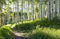 BIRKENWALD Fototapete VLIES-500x280 cm (043A)-Natur Landschaft Herbst Birken Bäume See Wald Wandtapete-Inkl. Kleister-Vliestapete Bild Dekoration Wand-Dekor Moderne Motiv-Tapete Panorama Poster XXL