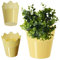KADAX Pot de Fleurs en Dentelle en Plastique 9 Couleurs, Motif Dentelle, Protection pour Pot de Fleurs, pour Bureau, Pot, Jardin, Pot de Fleurs, Pot de Fleurs, Pot (diamètre 14,5 cm, Bas, Jaune)