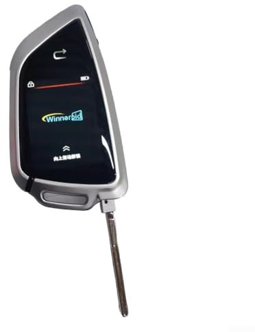 Progettato in modo efficiente per telecomando auto intelligente con display LCD e funzione di sostituzione manuale