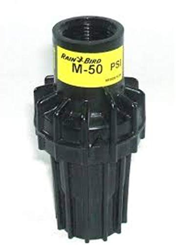 Rain Bird Druckminderer Druckminderer 3/4 Zoll x 3/4IG PSI M50