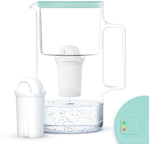Wessper Caraffa Filtrante in Vetro 3L con Contatore per Acqua | Sostituzione per cartuccia filtrante Aquaphor Standard Brita Classic Dafi Classic | Caraffa Filtrante + Cartuccia Filtrante – Menta