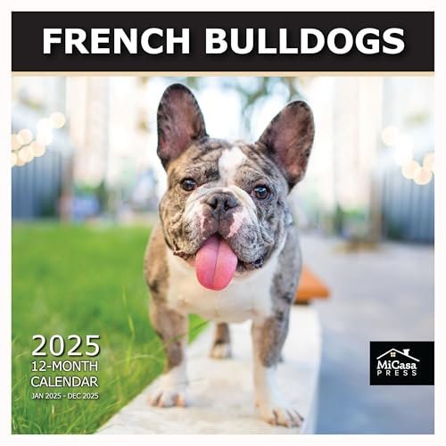 MICASA PRESS - Wandkalender 2025 Französische Bulldoggen, 12 Monate, 30,5 x 61 cm offen, dickes und stabiles Papier, Geschenk, Kalender 2025