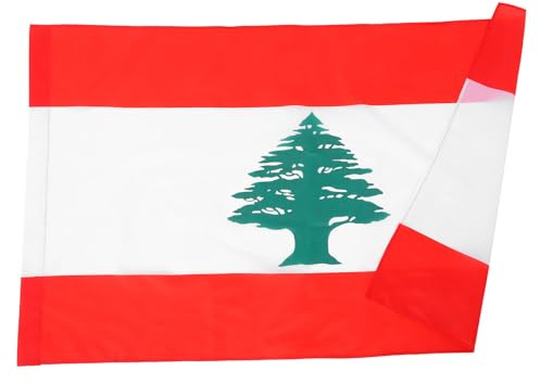 Anneome Drapeau Liban Polyester Léger avec Manchette pour Mât Décoration Polyvalente Intérieure et Extérieure pour Fêtes Nationales et Événements Scolaires