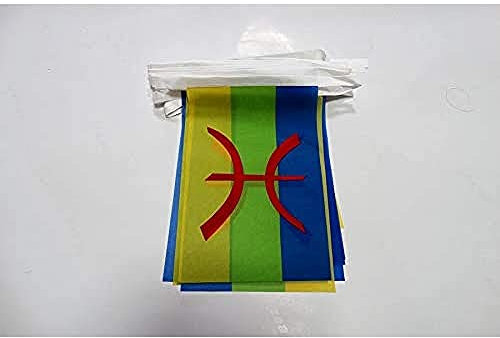 AZ FLAG - Guirlande Drapeau Kabylie - 6 Mètres Avec 20 Fanions Kabyle - Algérie Berbère De 21x14 cm - Petits Drapeaux 100% Polyester - 60g