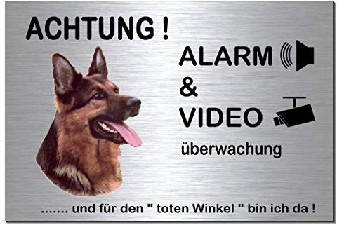 Schäferhund-Alarm-Video-Überwachung-Hund-30 x 20 cm-Schild-Hundeschild-Aluminium Edelstahloptik-Hunde-Tierschild-Warnschild-Hinweisschild (133-7 mit Löcher)