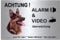 Schäferhund-Alarm-Video-Überwachung-Hund-30 x 20 cm-Schild-Hundeschild-Aluminium Edelstahloptik-Hunde-Tierschild-Warnschild-Hinweisschild (133-7 mit Löcher)