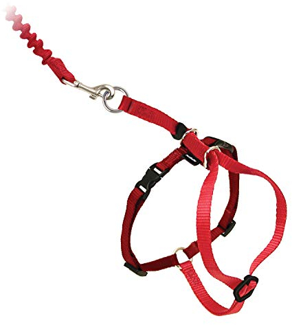 PetSafe Easy Walk Katzengeschirr, Mit elastischer Bungee-Leine, Für Spaziergänge mit Ihrer Katze, Größe M, Rot, CWMK-M-RED-19