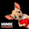Hunde Fotoalbum: tolles Album für alle Hundehalter | Erinnerungsalbum | Geschenkidee für Hundebesitzer | Hundealbum zum Festhalten schöner Momente mit deinem Hund | Chihuahua