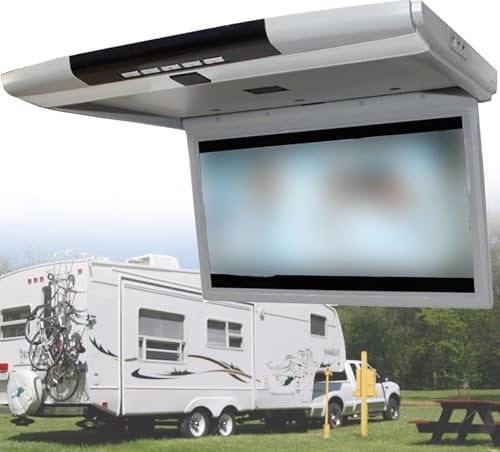 Lettore video per auto 1080P, monitor da tetto per auto con schermo HD da 17,3 pollici, TV ultrasottile ribaltabile per auto, supporto ingresso FM/IR/USB/SD/HDMI (senza unità DVD),Grey