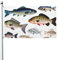 Verschiedene Fischflaggen, 150 x 90 cm, für den Außenbereich, mit Ösen, doppelseitig, Gartenflagge, großes Banner, Schild, Hausflaggen, Hof und Außenbereich, dekorative Flagge