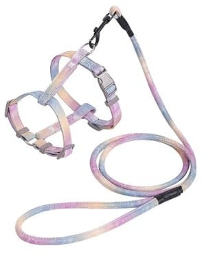 GWAWG Ensemble harnais et laisse pour chat – Harnais arc-en-ciel pour chaton, anti-fuite, sangle réglable pour promenade en plein air