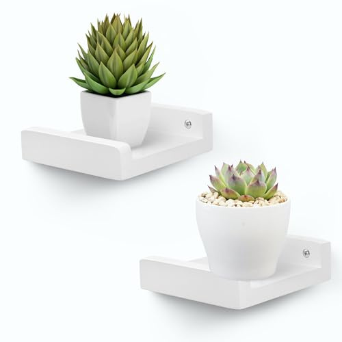 FURAOMEILI Kleine Wandregale,Mini-Schweberegal mit Rand,Ablageleiste,Lautsprecherregal,2er-Set für Bilderrahmen Pflanzen Deko für Wohnzimmer Küche Schlafzimmer,Holz,13cm,Weiß