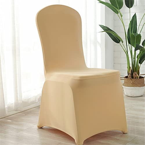 FANSU Stretch Stuhlhussen für Hochzeit, Bankett und Party Deko, Universal Stuhllehnen Lang Esszimmerstuhl Hussen Schwingstühle Abnehmbarer Waschbarer Elastische Stuhlhusse (2 er Set,Champagner Gold)