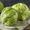 1000 Pc Semillas De Lechuga Iceberg, Semillas De Lechuga, Lechuga - Semillas De Hortalizas, Plantas Raras. Lechuga Recogiendo Semillas De Lechuga, Semillas De Lechuga Iceberg Regalos