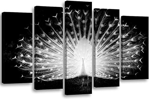 Feeby. Leinwandbild - 5 Teile - Bilder, Wand Bild, Wandbilder, Kunstdruck XXL, 5-Teilig, Typ A, 200x100 cm, NATUR, VOGEL, PFAU, SCHWARZ UND WEIß, GLAMOUR
