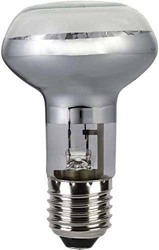 Lot de 4 ampoules halogènes R63 E27/ES 42 W – Intensité variable 230 lumens, luminosité instantanée