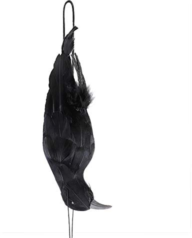 WERTSWF Dead Crow Halloween-Requisite, gruselige hängende Krähen Lockvogel, schwarzer gefiederter Rabe für Garten, Spukhaus, Grab