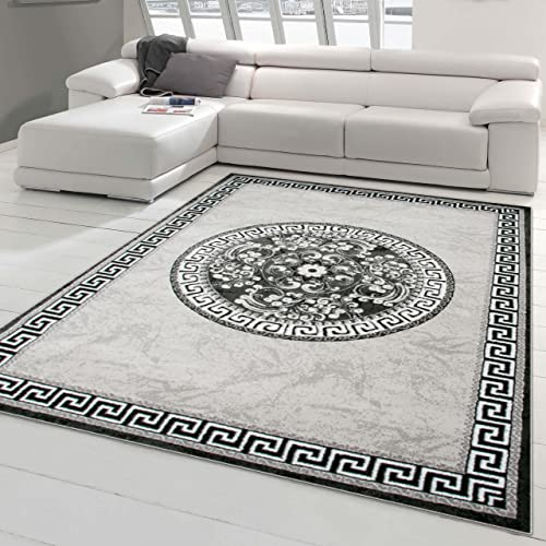Teppich-Traum Orientteppich mit Glitzergarn | Bordüre & Verzierungen in Kreisform | grau anthrazit Creme 240 x 340 cm