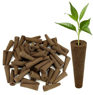 QWORK® 60 Pezzi Spugne di Ricambio per Sistema di Coltivazione Idroponica da Interni e da Giardino