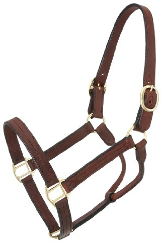 Royal King Leather Track Halter - Yearling