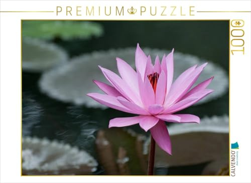 Puzzle · Februar | 1000 Teile · Lege-Größe 64 × 48 cm · CALVENDO Puzzle