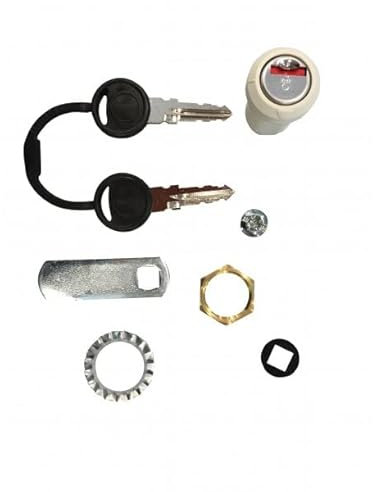 Raceflag Kit Serrure Complet Fermeture Cylindre pour Porte De Soute Camping Car