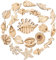 Toyvian 100 Stücke Holz Holzscheiben zum Basteln Bemalen DIY Meerestiere Geschenkanhänger Naturholzscheiben Deko Anhänger Holzanhänger Streudeko Kinder Bastelset Tischdeko