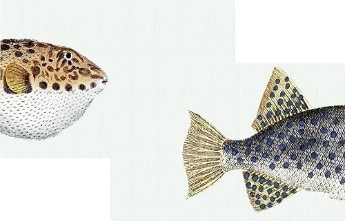 IHR - PMP 902100 - Tischset, Fische, 2 Stück, 43cm x 29cm, blau