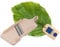 HOFMEISTER® Krauthobel aus Holz, 40 cm, scharfe Klingen schneiden alle Krautköpfe und Gemüsesorten, zur Herstellung von Sauerkraut, Rotkraut & Krautsalat, Gemüsehobel Made in EU