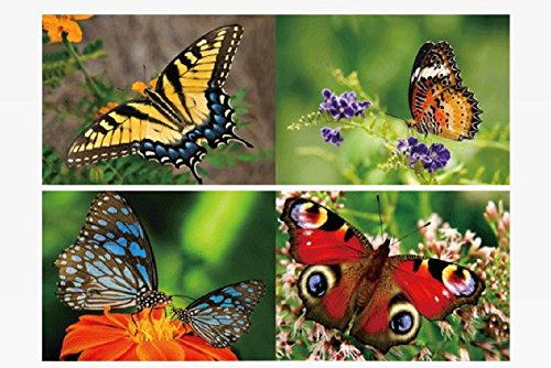 1x 3D Lesezeichen Schmetterlinge 15x5cm Tiere Wackelbild Wackelkarte Buchzeichen Bookmark Bücher Buch