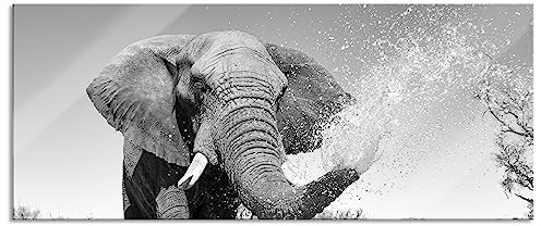 Pixxprint Glasbild Panorama, Wandbild aus Echtglas, Elefant spritzt mit Wasser, 100x40 cm, inkl. Aufhängung und Abstandshalter