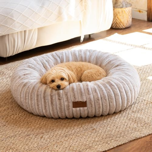 FUKUMARU Cama para Perros, Cama para Gatos de Interior, Cama ortopédica para Perros, Funda Lavable, diseño Moderno con Degradado de Colores. 64 x 64 x 18 cm, Beige